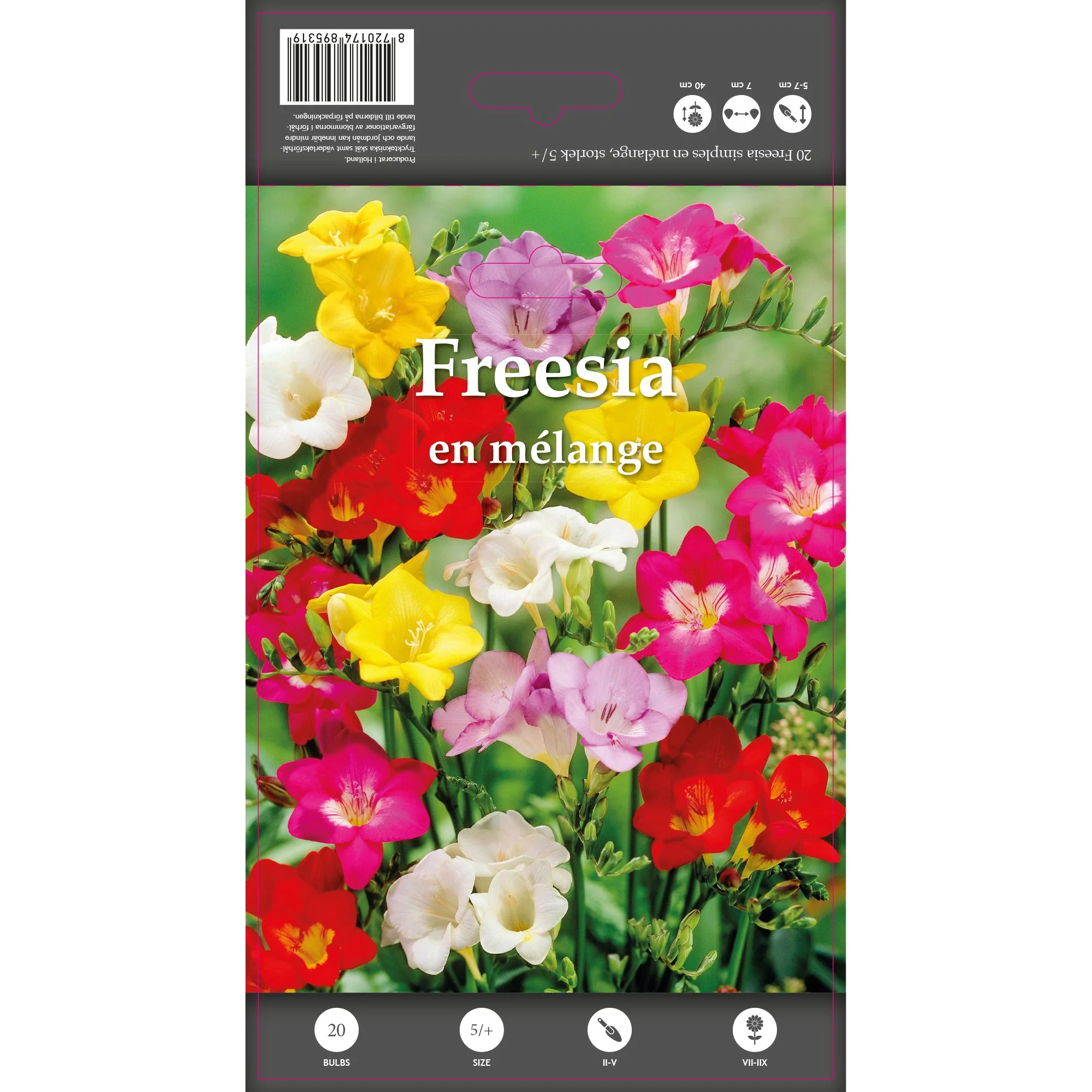 20 Freesias simples en mélange