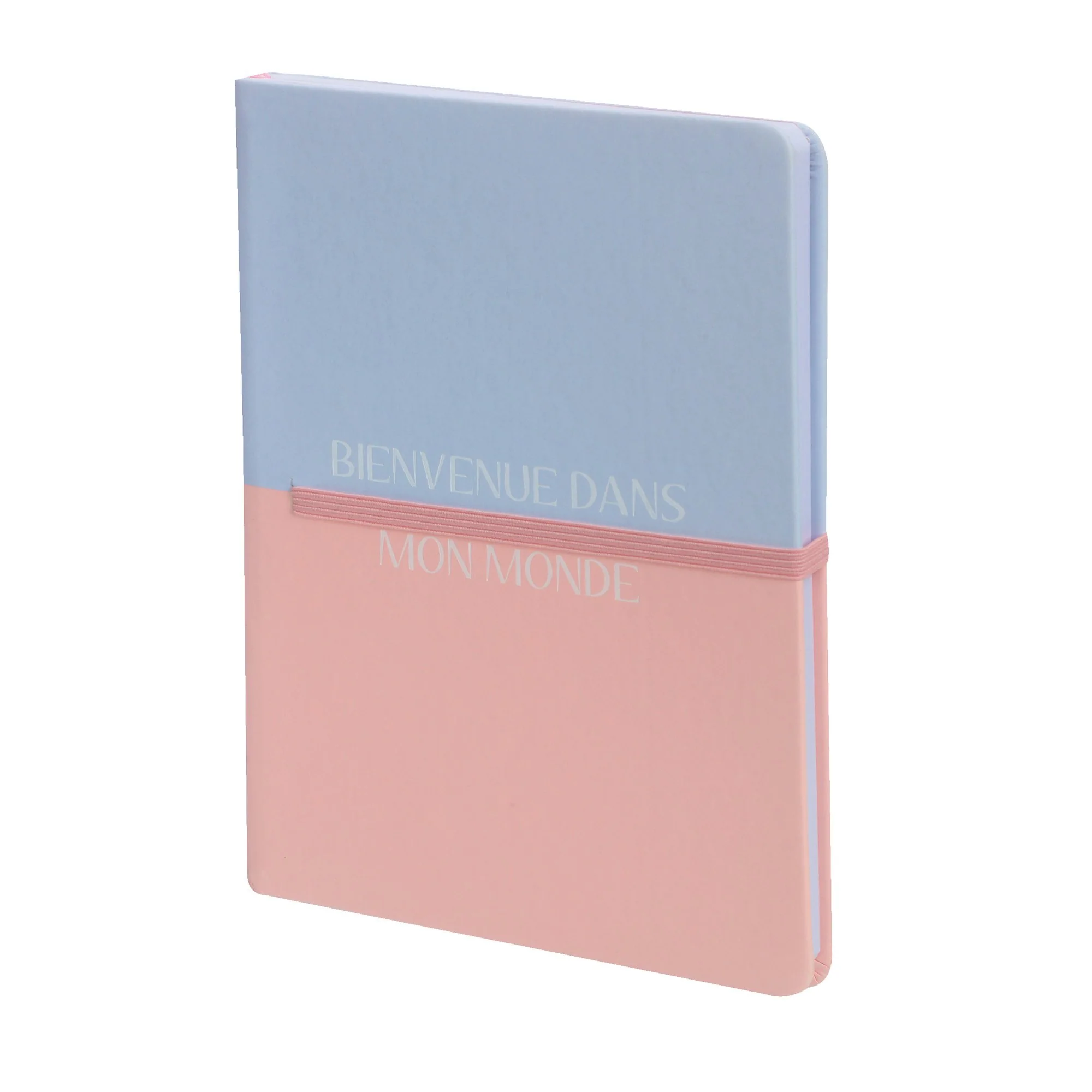 Carnet bicolore A5 - Bleu