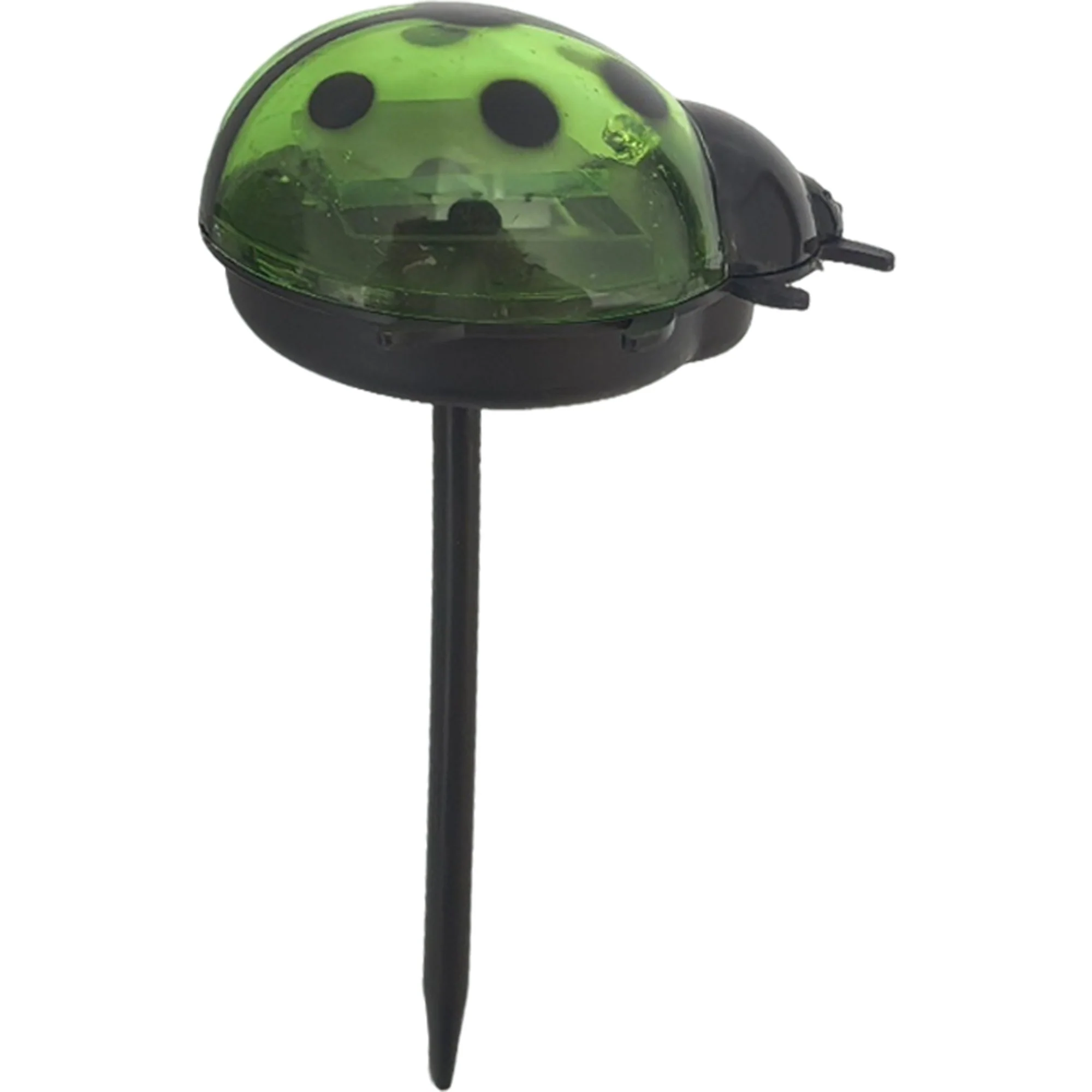 Lampe solaire coccinelle - Vert