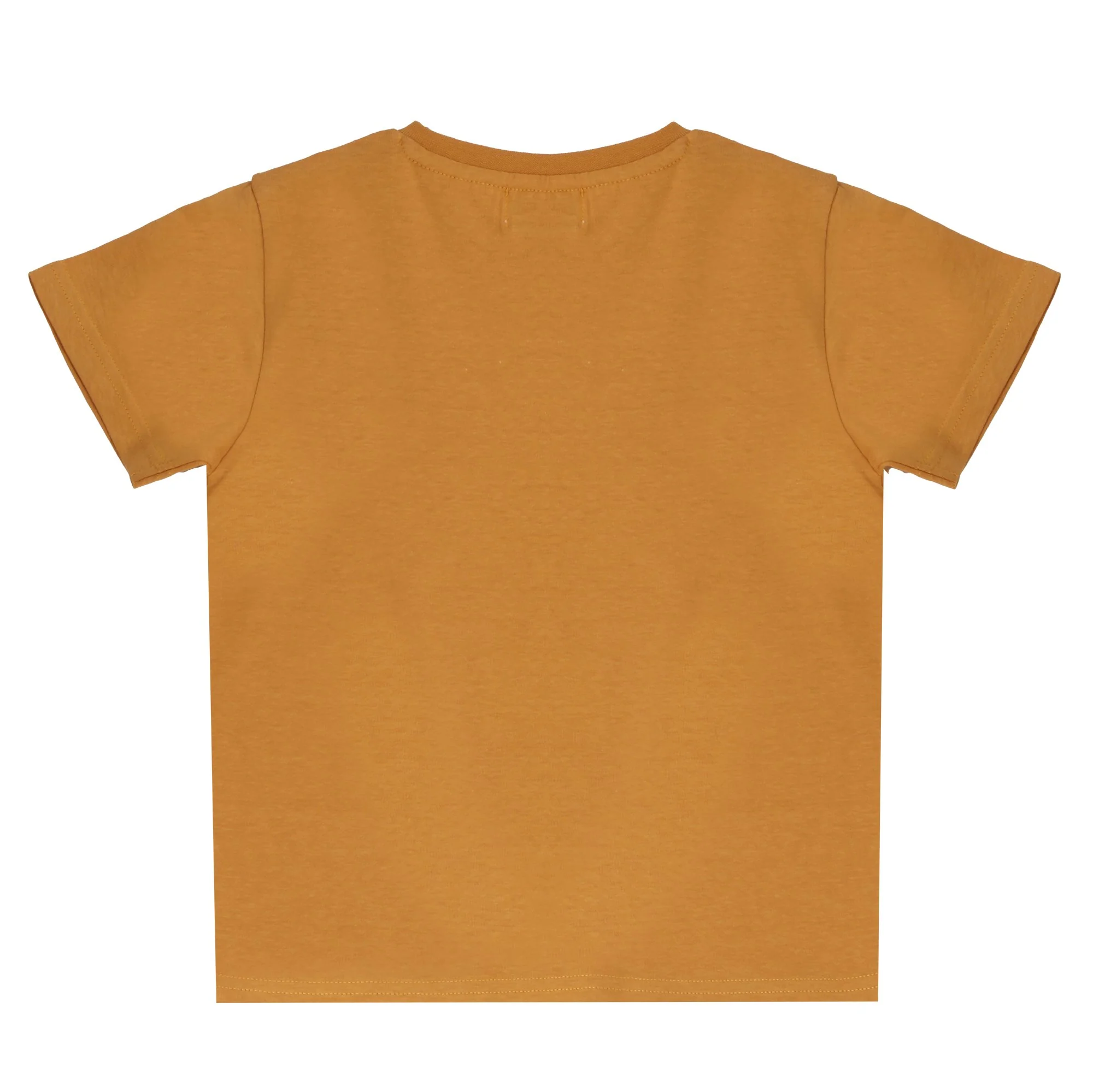 Lot de 2 tee-shirts manches courtes avec animations 3/12 ans - Jaune - Image 5