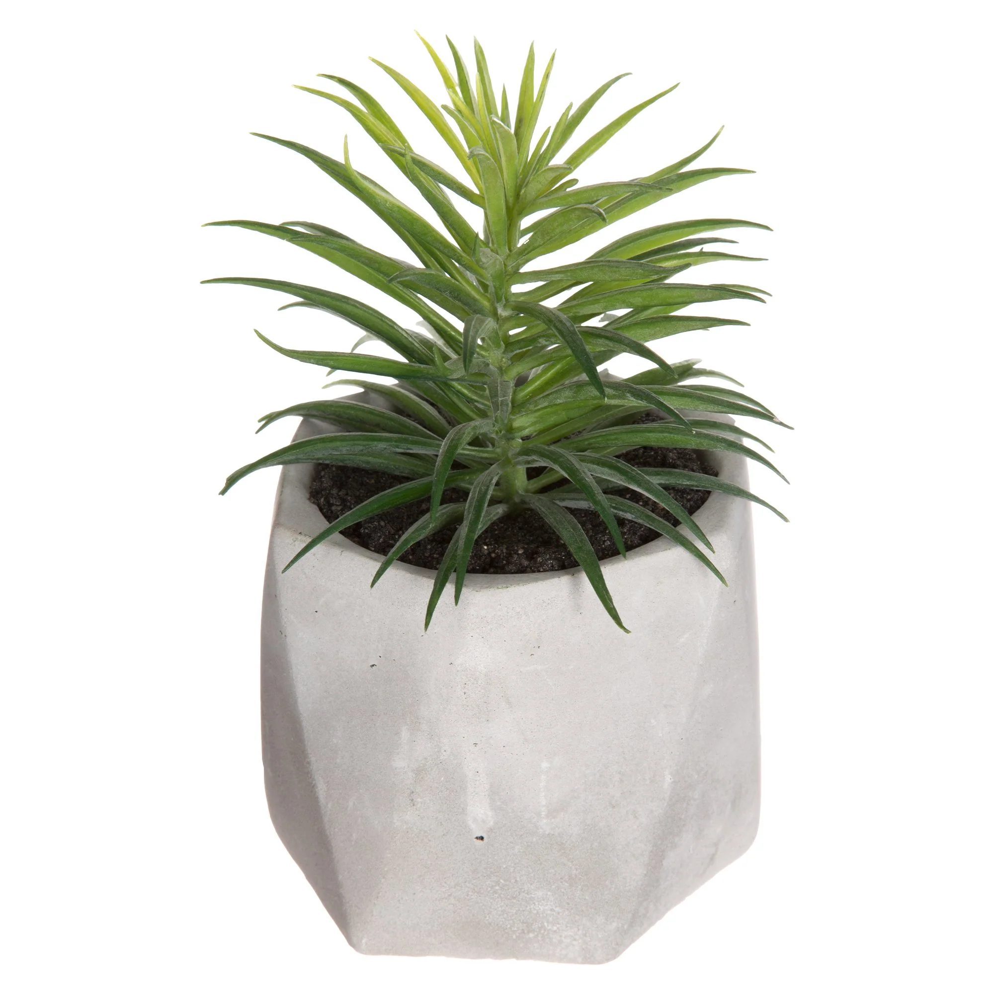 Plante pot ciment 14 cm - Image 4