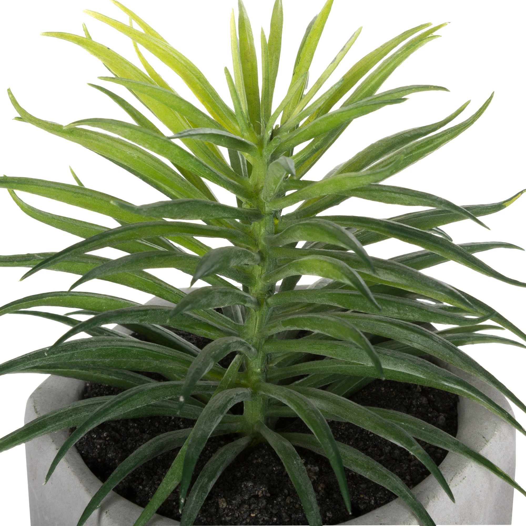Plante pot ciment 14 cm - Image 6