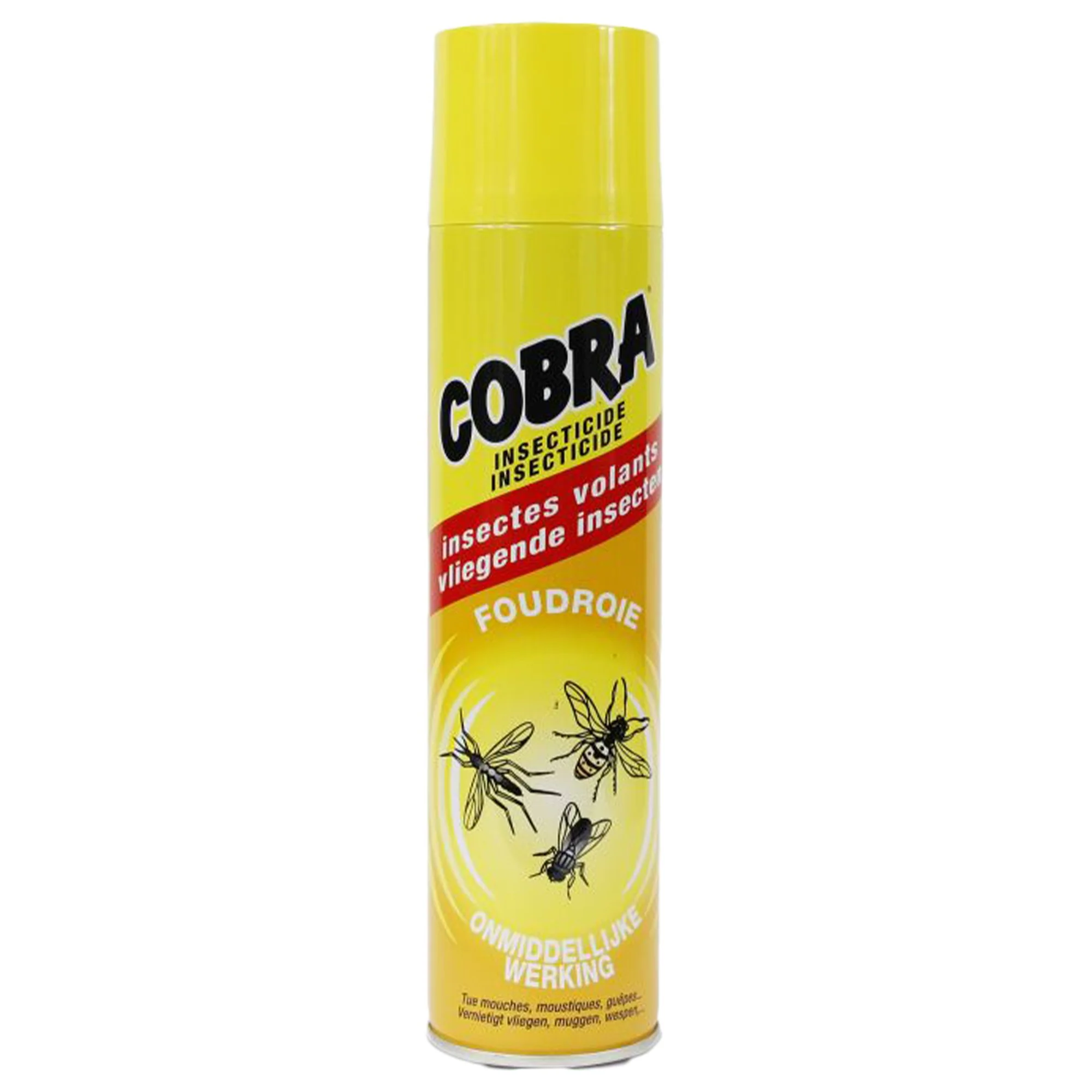SPRAY REPULSIFE INSECTES VOLANTS