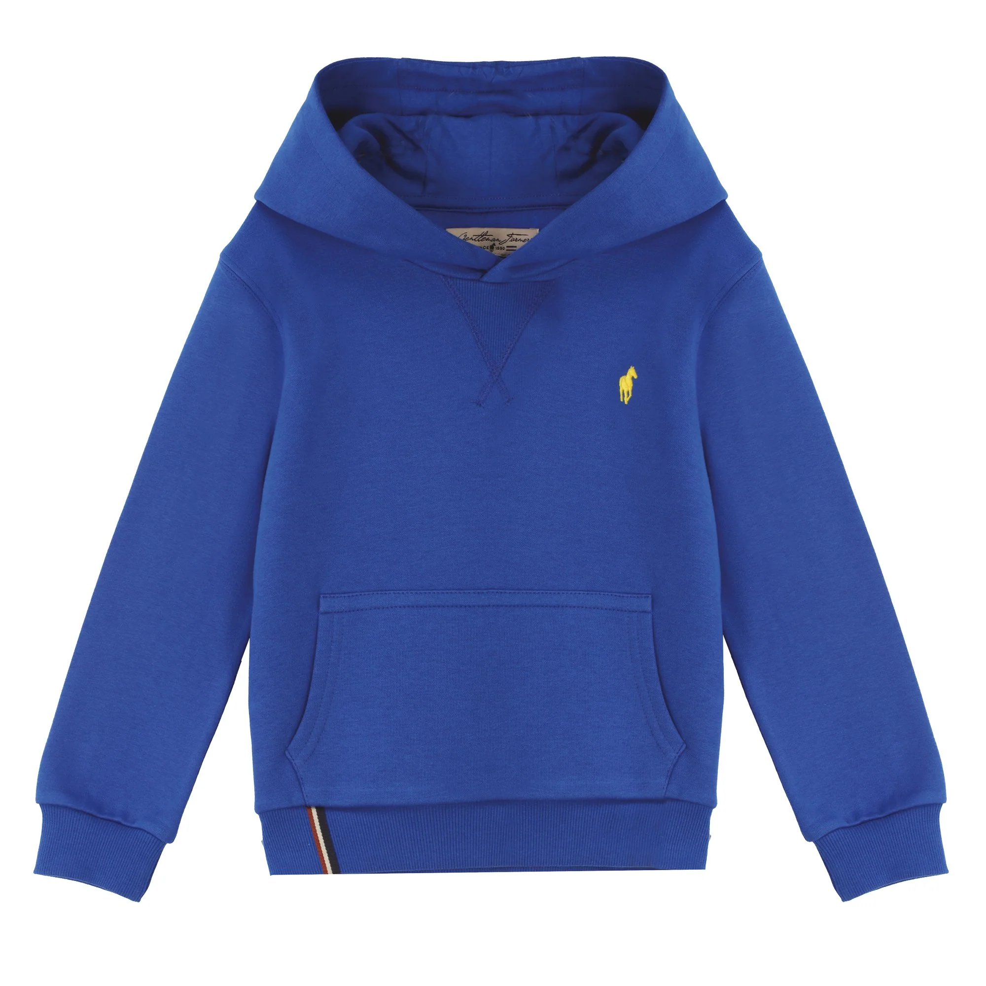 Sweat à capuche avec broderie 3/12 ans  - Bleu