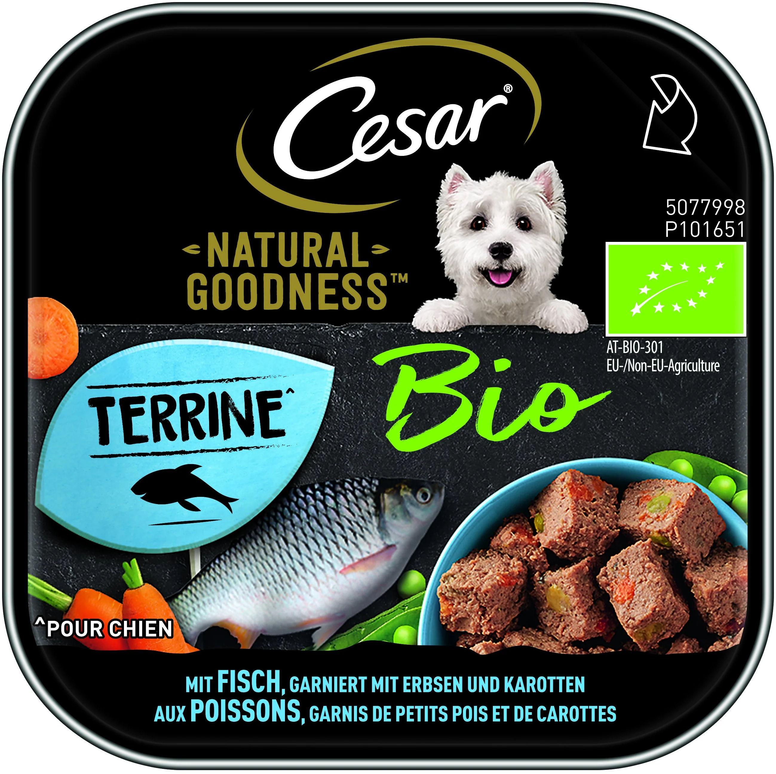 Terrine pour chien bio au poisson